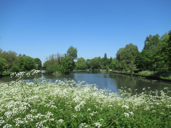 View of West Smethwick Park pond